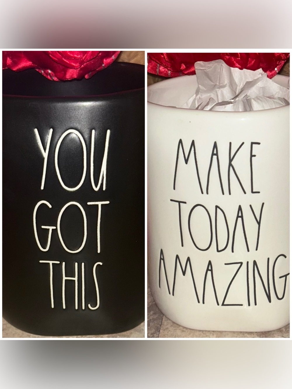 B/W Motvational Rae Dunn Mugs (2)
